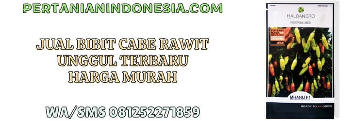 jual,murah,pertanian indonesia,jual bibit cabe rawit,jual bibit cabe rawit unggul terbaru